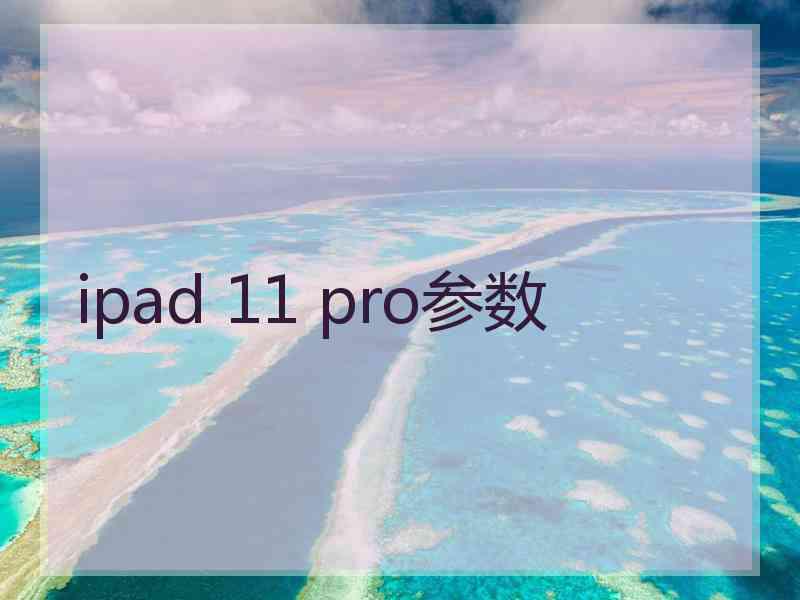 ipad 11 pro参数