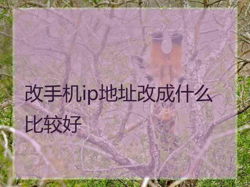 改手机ip地址改成什么比较好