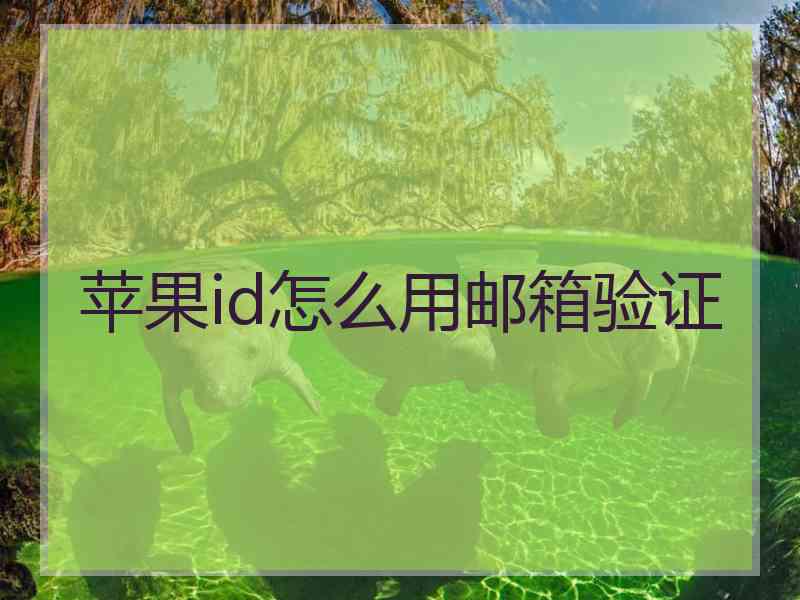 苹果id怎么用邮箱验证