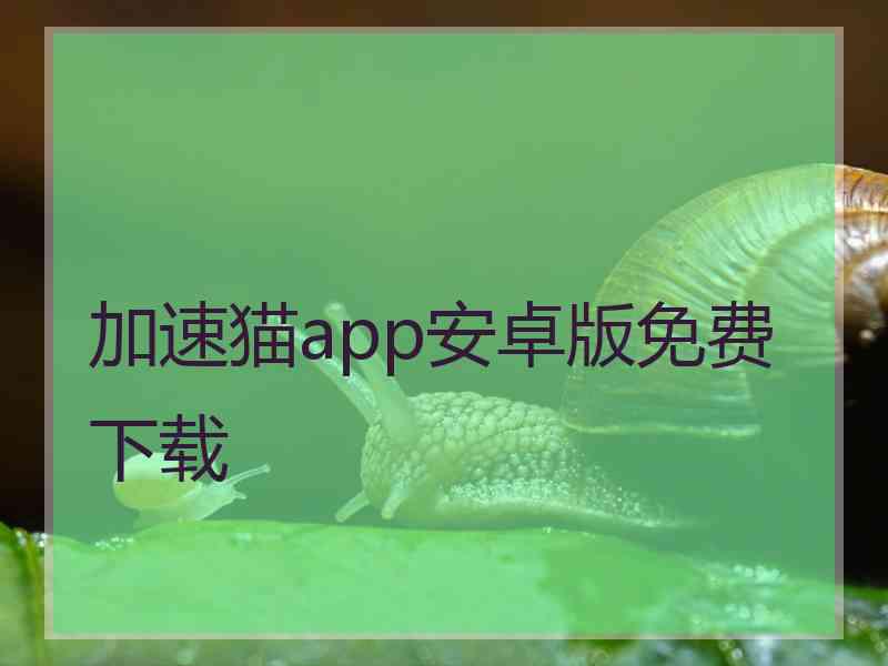 加速猫app安卓版免费下载