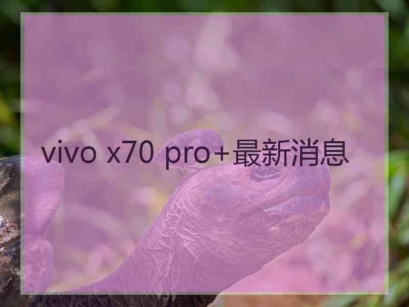 vivo x70 pro+最新消息