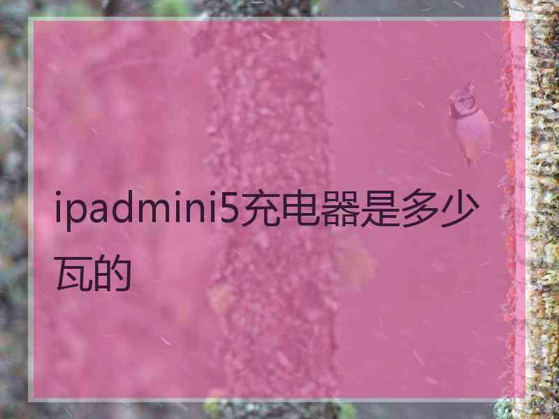 ipadmini5充电器是多少瓦的