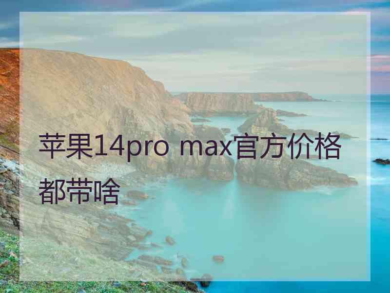 苹果14pro max官方价格都带啥