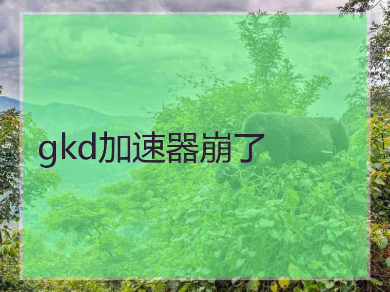 gkd加速器崩了