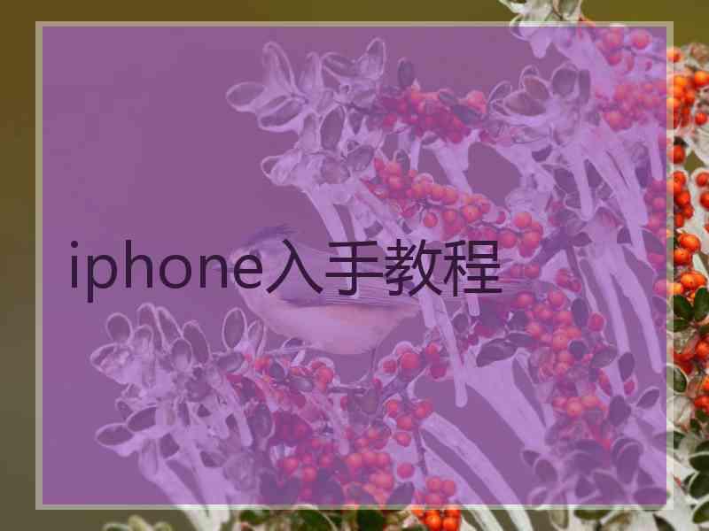 iphone入手教程