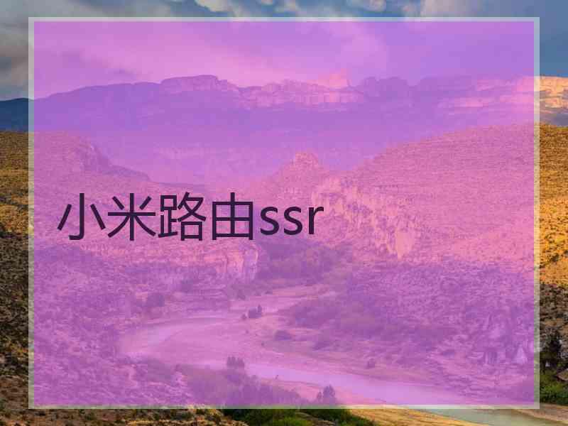 小米路由ssr