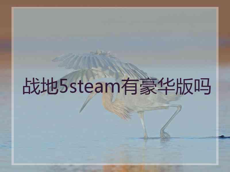 战地5steam有豪华版吗