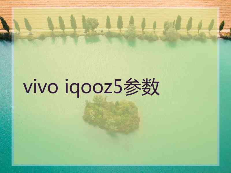 vivo iqooz5参数