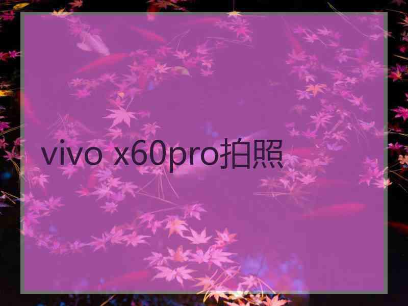 vivo x60pro拍照