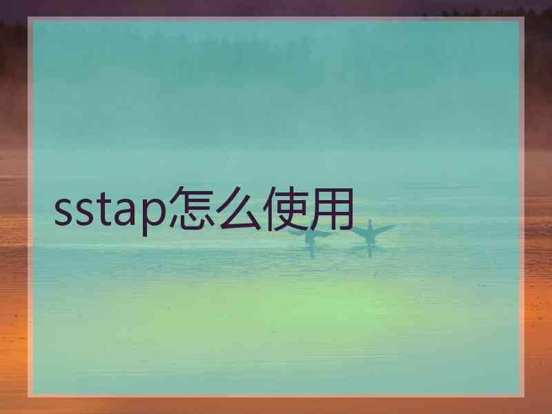 sstap怎么使用