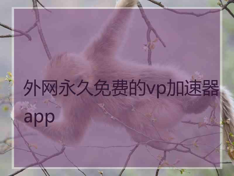 外网永久免费的vp加速器app