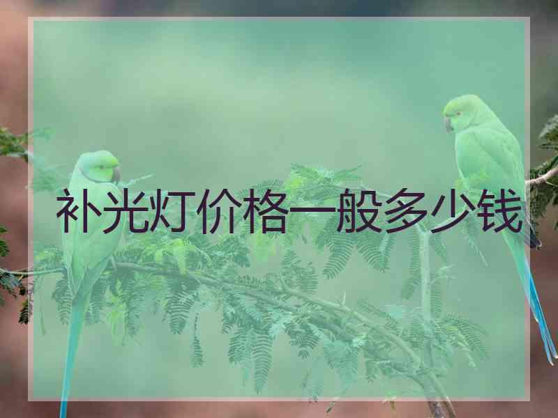 补光灯价格一般多少钱