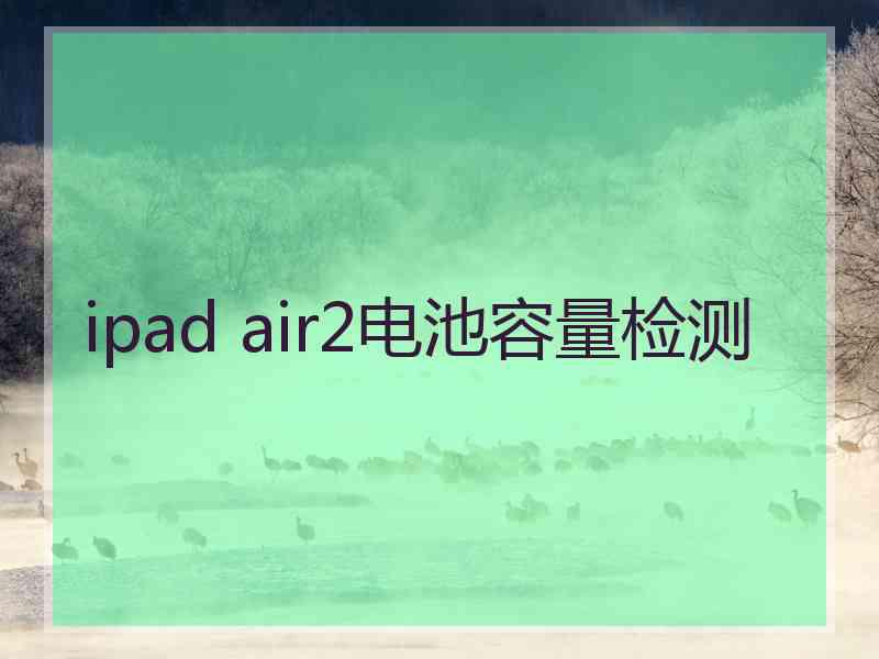 ipad air2电池容量检测