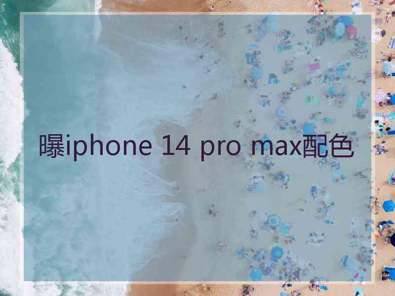 曝iphone 14 pro max配色