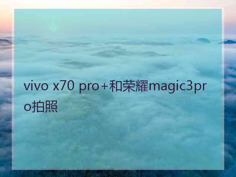 vivo x70 pro+和荣耀magic3pro拍照