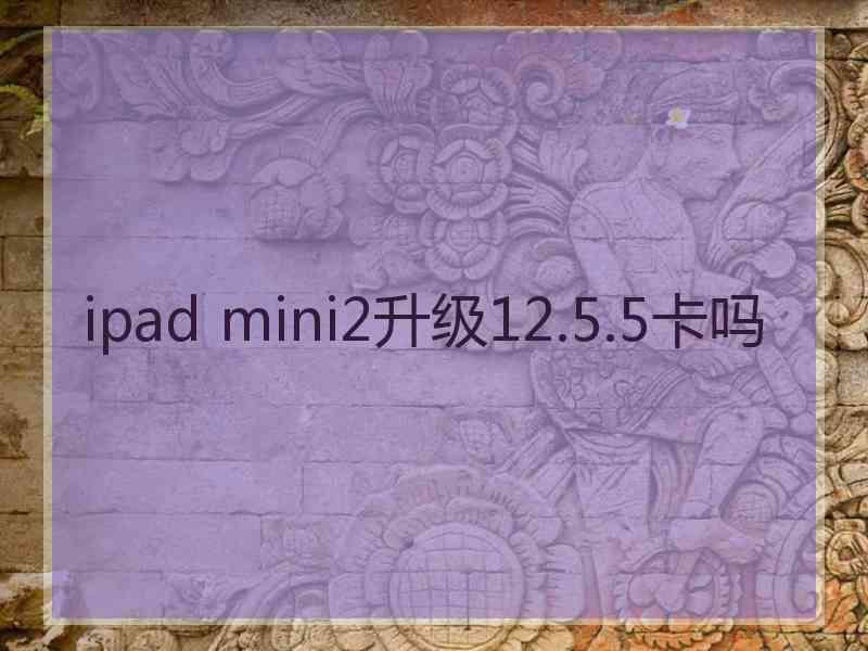 ipad mini2升级12.5.5卡吗