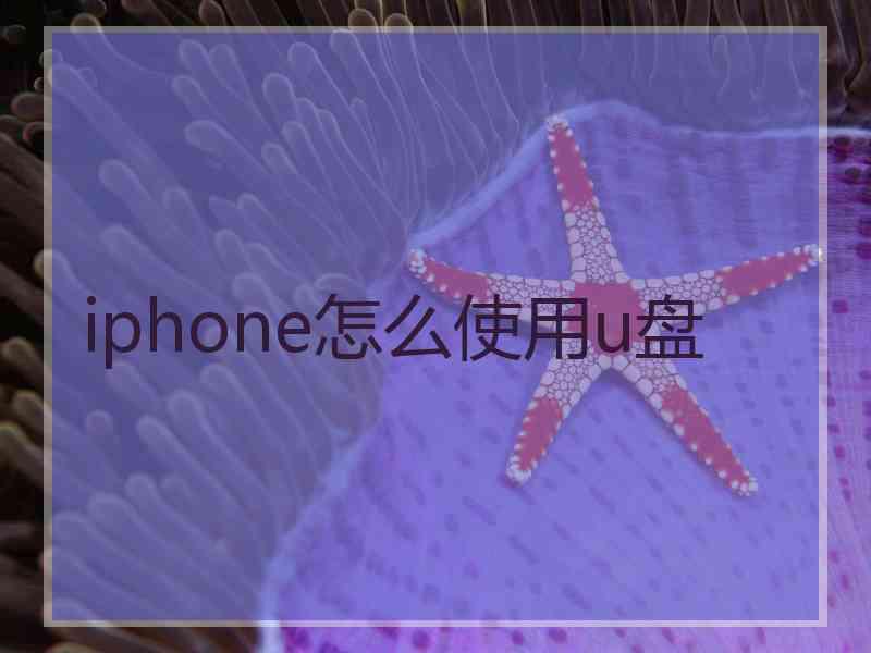 iphone怎么使用u盘