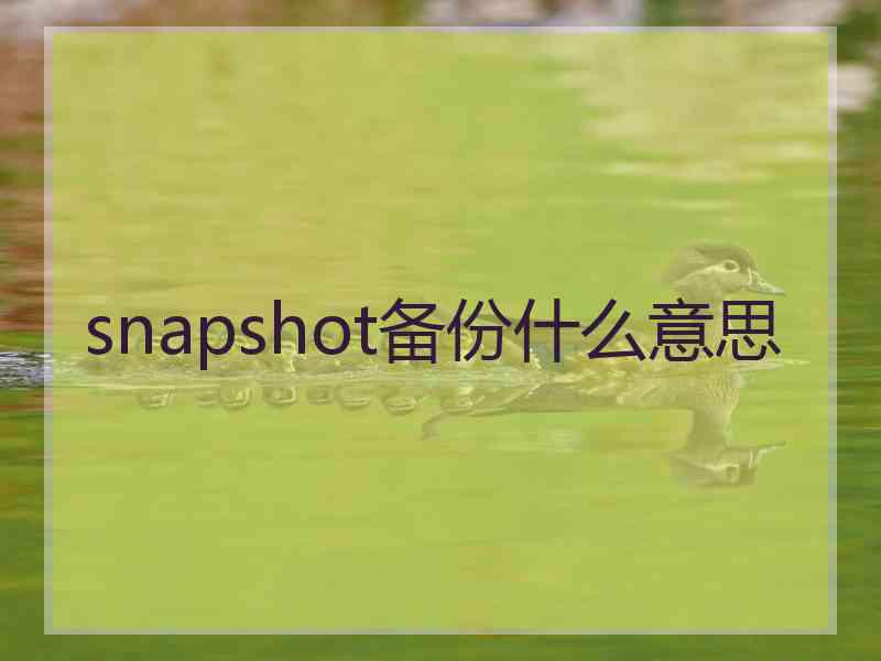 snapshot备份什么意思