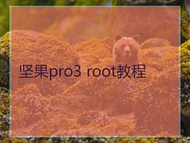 坚果pro3 root教程