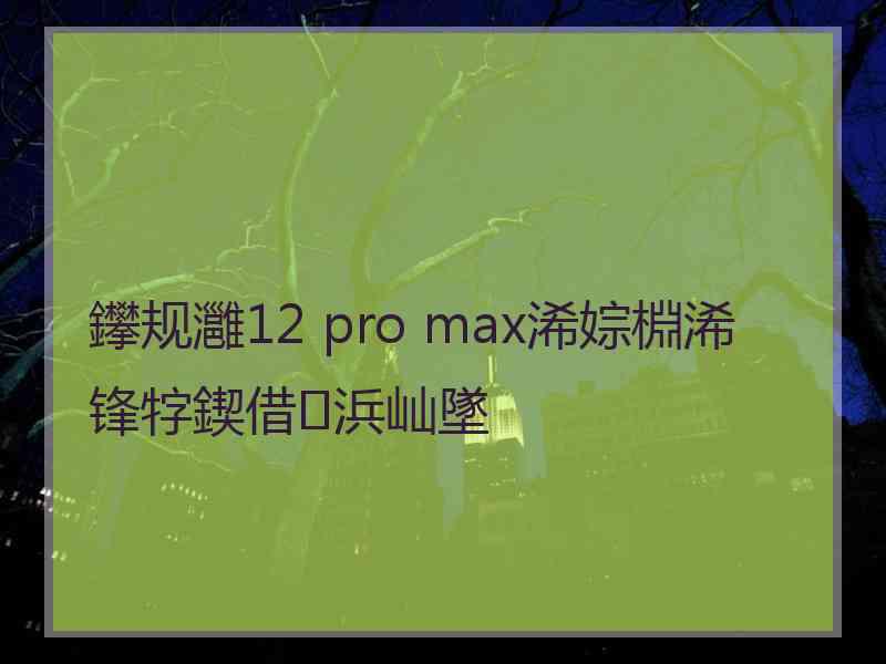 鑻规灉12 pro max浠婃棩浠锋牸鍥借浜屾墜