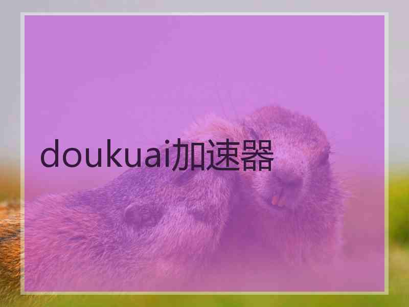 doukuai加速器