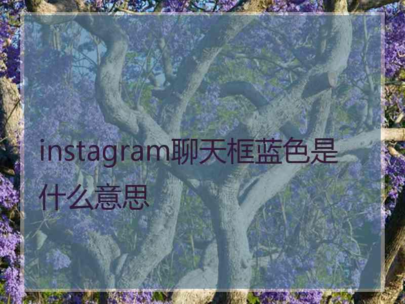 instagram聊天框蓝色是什么意思