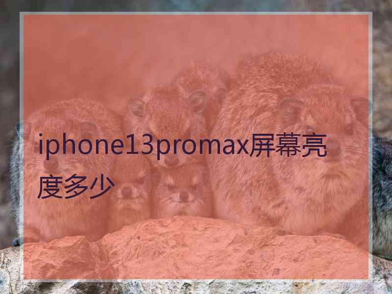 iphone13promax屏幕亮度多少