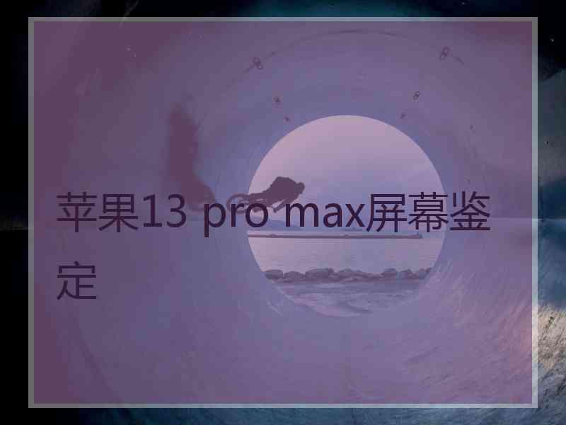 苹果13 pro max屏幕鉴定