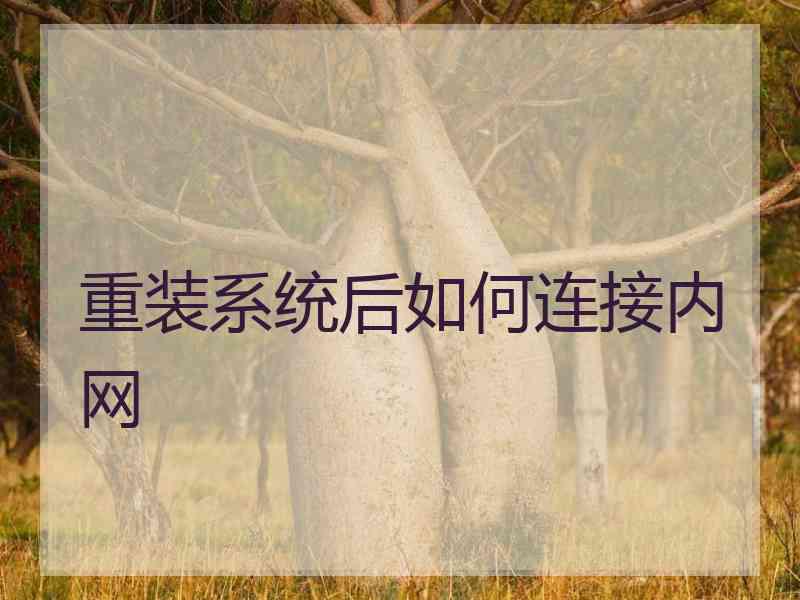 重装系统后如何连接内网