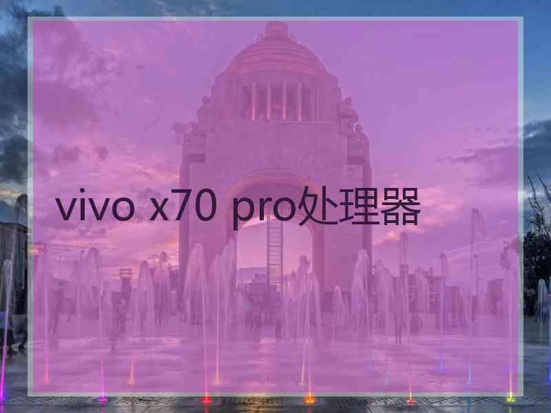 vivo x70 pro处理器