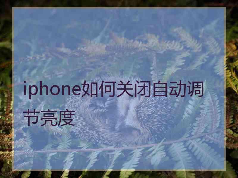 iphone如何关闭自动调节亮度