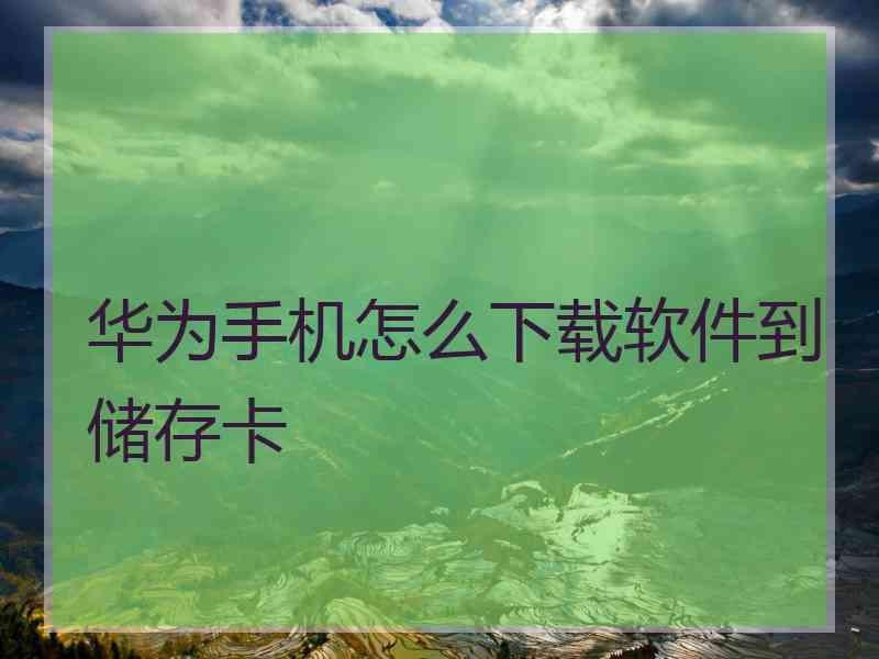 华为手机怎么下载软件到储存卡