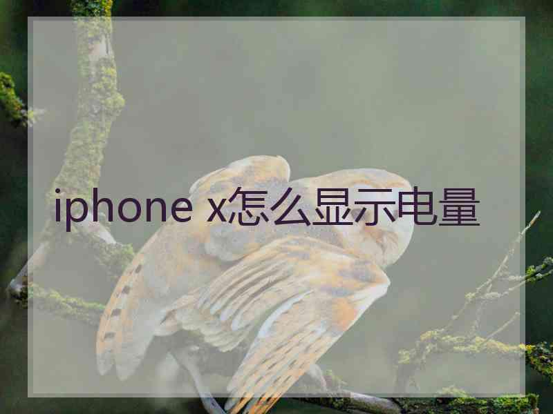 iphone x怎么显示电量