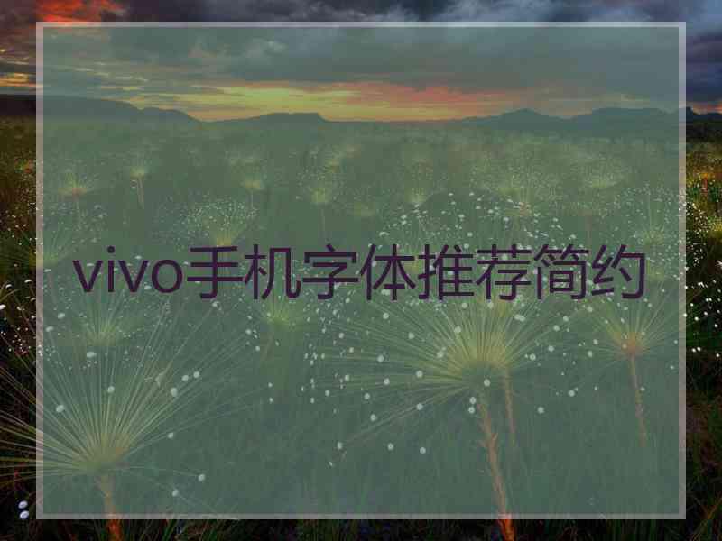 vivo手机字体推荐简约