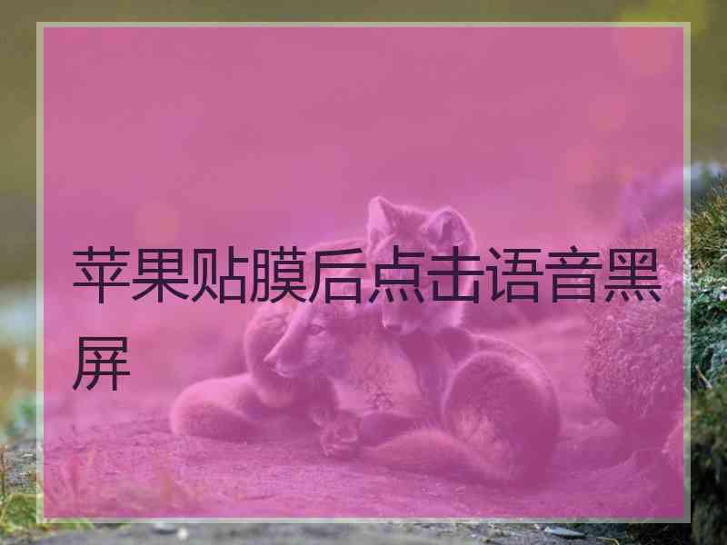 苹果贴膜后点击语音黑屏