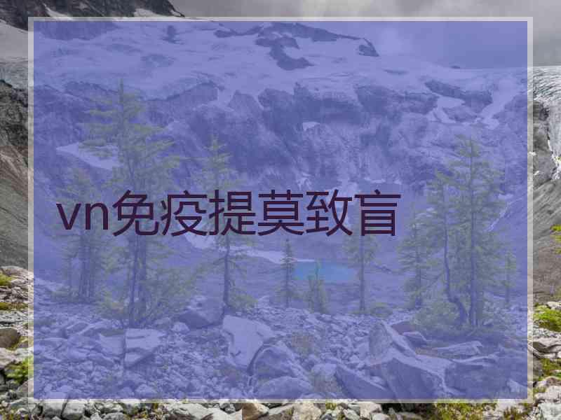 vn免疫提莫致盲