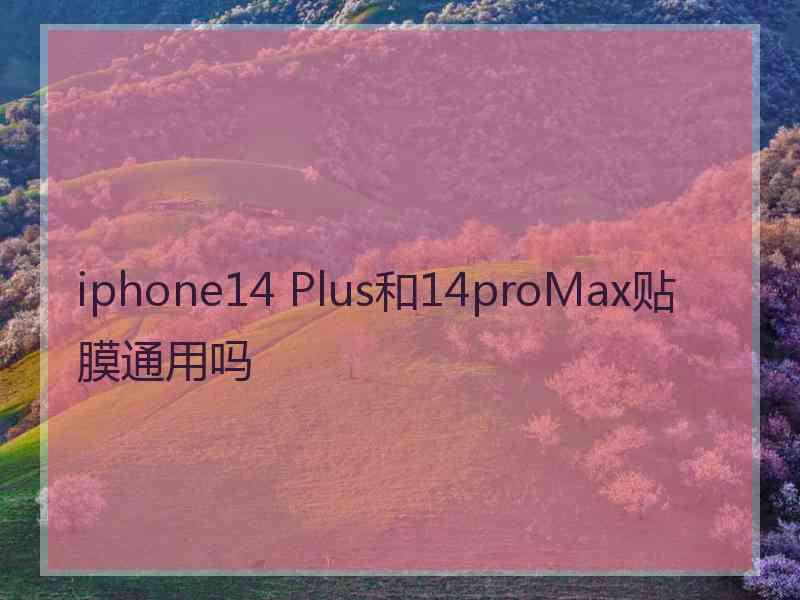 iphone14 Plus和14proMax贴膜通用吗