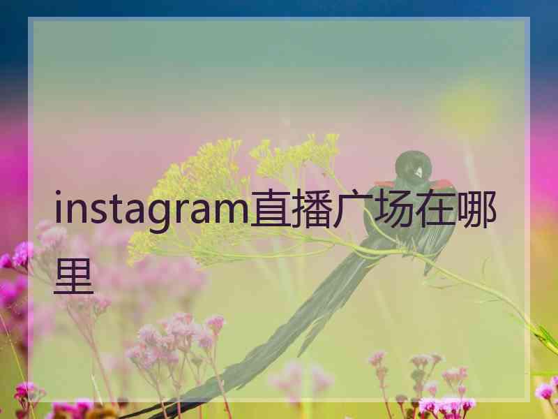 instagram直播广场在哪里