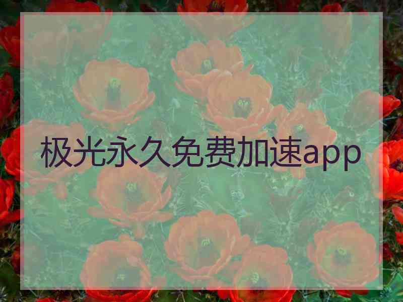 极光永久免费加速app