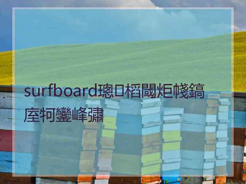 surfboard璁㈤槄閾炬帴鎬庢牱鑾峰彇