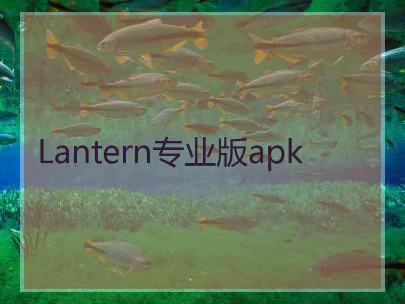 Lantern专业版apk