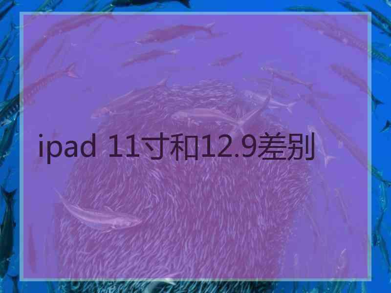 ipad 11寸和12.9差别