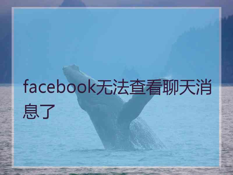 facebook无法查看聊天消息了