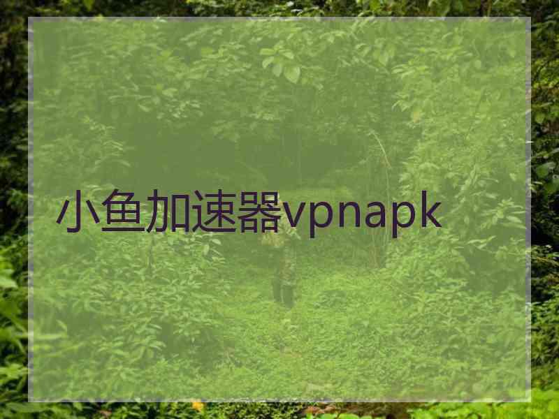 小鱼加速器vpnapk