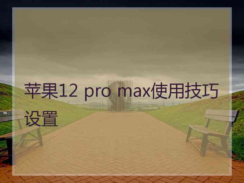 苹果12 pro max使用技巧设置