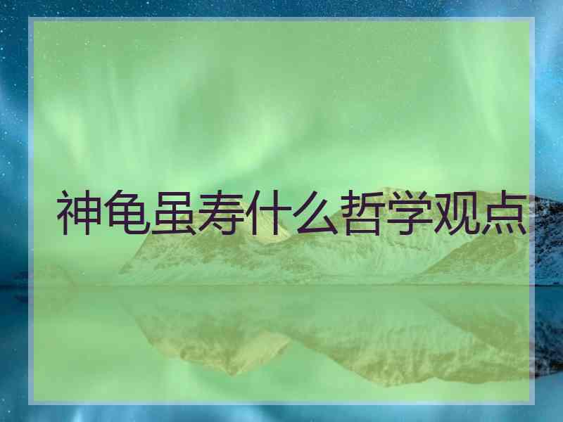 神龟虽寿什么哲学观点