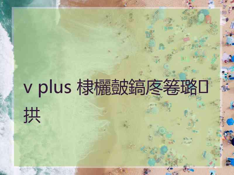 v plus 棣欐皼鎬庝箞璐拱