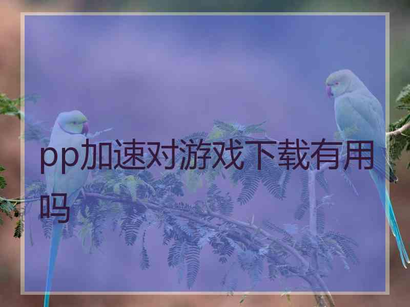 pp加速对游戏下载有用吗