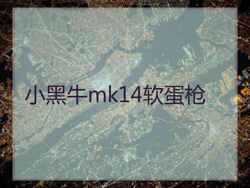 小黑牛mk14软蛋枪