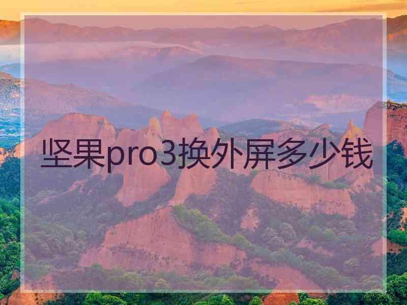 坚果pro3换外屏多少钱